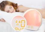 Bedside Wake Up Light Alarm Clock Sunrise Simulation Light 7W With FM Radio