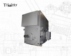 Wholesale H355 H1120 High Voltage Explosion Proof Electric Motor IMB3 from china suppliers