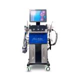 10 In 1 Microdermabrasion Machine 110V jet peel facial SPA24