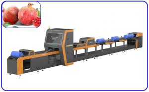 China Pomegranate Fruit Sorting Machine Electric Drive High Precision 4 Channel on sale