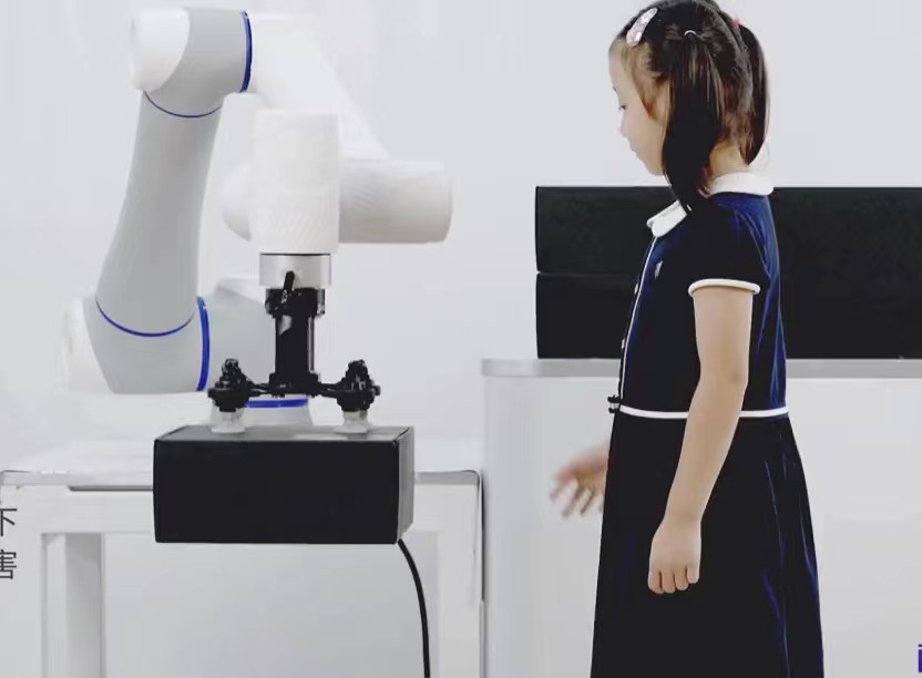 Silicone Human Machine Cooperation Robot Stacking System With 5kg Payload