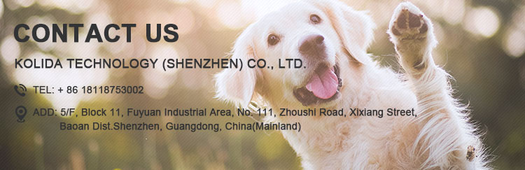 Custom Service Flashing Safety LED Dog Vest Harness , Led Nylon Dog Collar