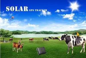 Wholesale free software gps /gsm/gprs sim card tracker animal ip67 waterproof gps vehicle tracker from china suppliers