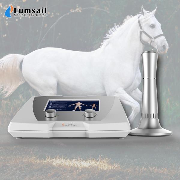 High Power Equine Shockwave Machine High Energy Professional Pain Therapy