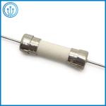 High Breaking Capacity 5x20mm Time Lag Cartridge Fuse Link 5242100203C 10A 250V