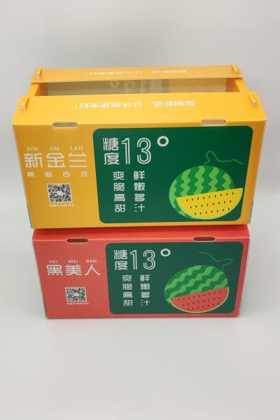Stackable Agricultural Product Promotion Corrugated Hollowed Carton Storage Box