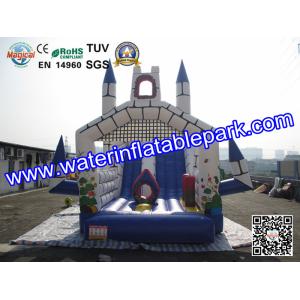 Rental Large Inflatable Bounce Slide / Inflatable Amusement Park For Event /