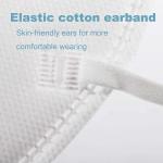 Safety N95 Face Mask Dust Protective N95 Anti Pollution Mask