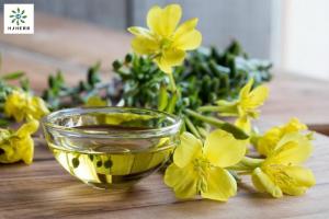 China 9% Linolenic Acid Evening Primrose Oil For Cosmetics Health on sale