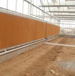 Modern venlo hot dip galvanized steel pipe polycarbonate greenhouse structure