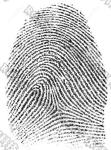 Fingerprint display vacuum metallizer