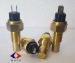 M14*1.5 Max120℃ Brass Water Temperature Pressure Sensor