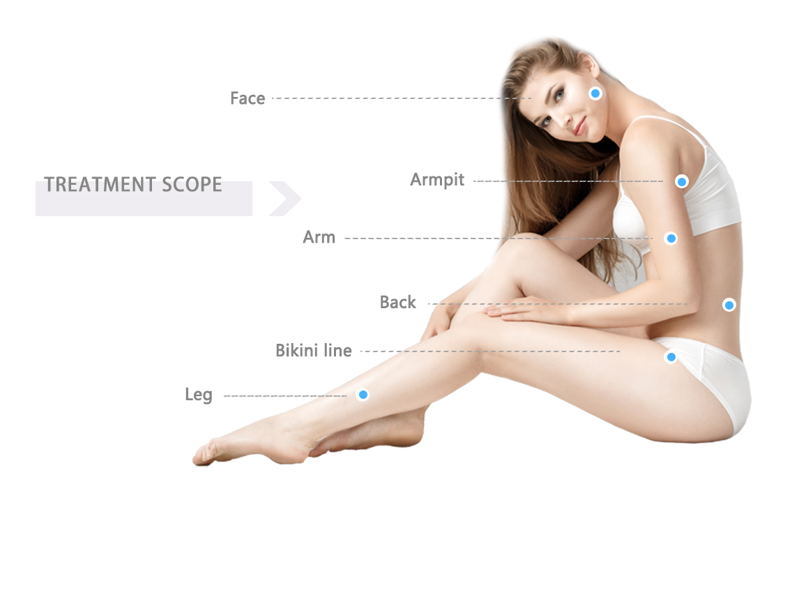 3 wave Professional Laser Machine Hair Removal Depilator Machine For Salon