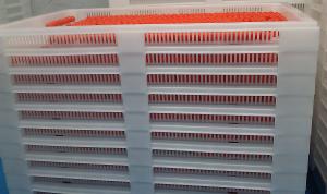 Wholesale Plastic Drying Trays For Drying Paintball / Softgel from china suppliers