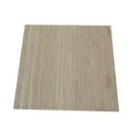 TOP SALES Bamboo Plywood Board Single-Ply Horizontal Laminated Bamboo Panels