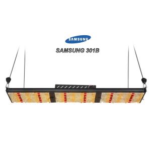 Wholesale SAMSUNG 301B Quantum Board Led Grow Light 320W For Greenhouse Project from china suppliers