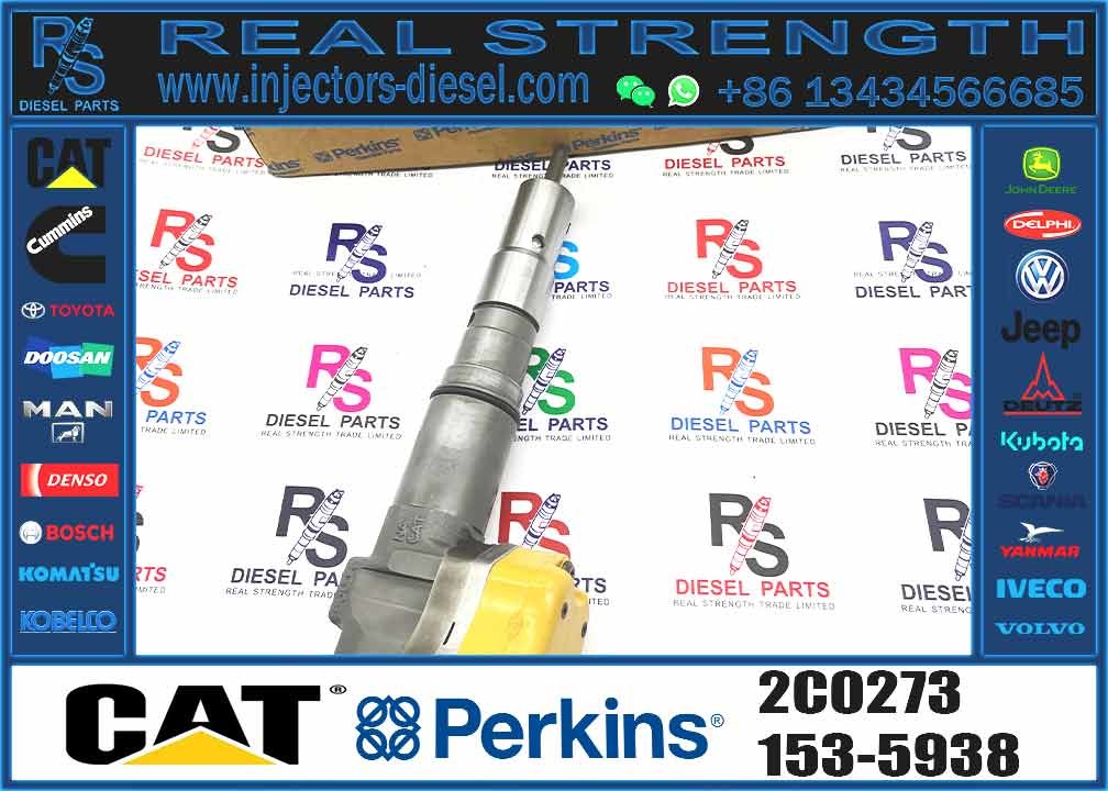 Excavator Parts 3116 Engine Injector 0R-8483 0R-3002 0R-8477 0R-3190 0R-8473 4P-2995 Fuel Injector For Excavator