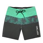 Surf Beach Board Shorts Quick Drying Thin Lightweight Embroidery Lightweight