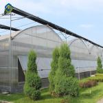 Elliptical Pepper 8.0m Plastic Polyethylene Film Greenhouse