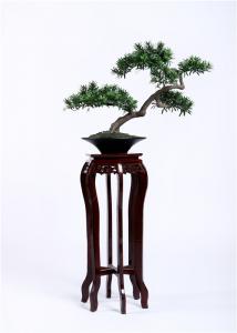 China Ornamental Bonsai Pine Tree , Artificial Plants Bonsai Elegant Charming on sale