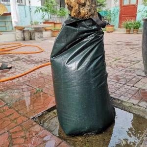 China Other Watering Irrigation 3 Packs PE Tree Watering Bags 75L UV Green Bags on sale