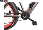 Lithium Battery Electric Powered Bicycles TM-KV-2670 With Big Fat Tire 26 Inch