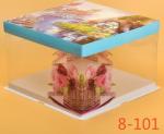 Disposable Clear/transparent Sandwich/cake Plastic Food Container/box/packaging