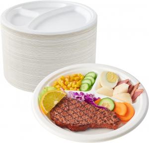 China 9 Inch Compostable Party Plates Sugarcane Bagasse Material Waterproof on sale