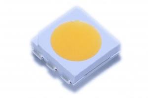 Wholesale PLCC - 6 package 5050 series white color led light emitting diode with CRI &gt; 80 from china suppliers