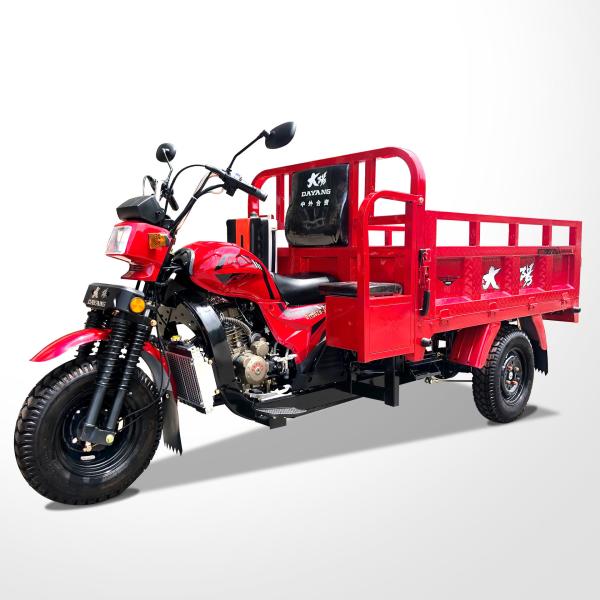 DAYANG DY5 150 200 250CC Gasoline Engine Cargo Tricycle for Heavy Load