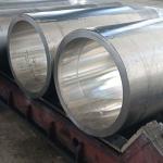 UNS S30600 Multipurpose Forged Steel Parts ASTM A959 2016