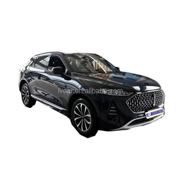 Efficiency Never Looked This Good Wei Mocha Hybrid Electric SUV with 2915 Wheel