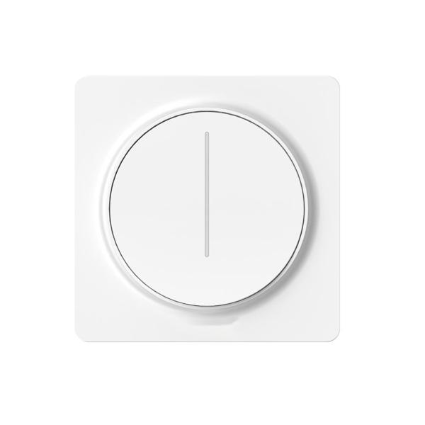Wall Combination Electric Smart Toggle Dimmer Switch Capacitive Touch 240 Volt