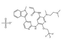 Wholesale AST2818 mesylate;CAS:2130958-55-1(sandra19890713@gmail.com) from china suppliers