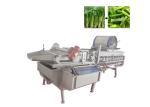 Green Leaf Vegetable Washing Machine Lettuce Cabbage Salad Commercial Vegetable