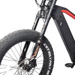 Carbon Fiber Electric Bicycle with 1000w Full Suspension 11 Speed and 48V 20Ah
