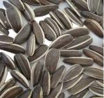 Amazon hot sell Manufacturers wholesale a large number of sunflower seed raw