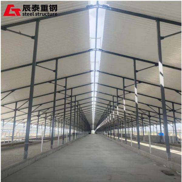 Efficient Prefabricated Large-span Space Intelligent Steel Structure Agricultura