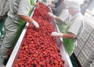 Wholesale Industrial Mulberry Raspberry Berry Processing Equipment High Stability from china suppliers