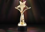 Custom Made Metal Star Trophy , Zinc Alloy Enterprise Workers Souvenirs