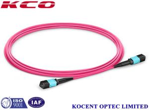 Wholesale 3m 5m 10m 30m OM4 MPO MTP Multimoce Patch Cord 50/125 LSZH Violet Pink Fiber Optic Cable from china suppliers