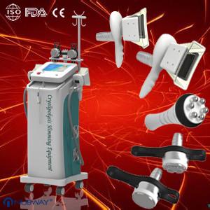 Wholesale Cryolipolysis Slimming Machine(NBW-C200) from china suppliers