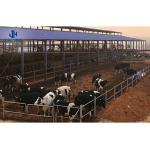 Roller Door Prefabricated Steel Structure Cow House for Poultry Shed Commercial