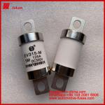 EV315-M 5M 125A HS 500VDC Truck Heavy Tubular fuse electric light bolt