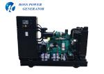 230V Perkins Diesel Generator , Heavy Duty Power Systems Generator Open Type