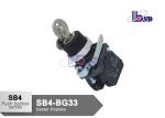 Professional Electrical Selector Key Switch ROHS And UL Certified