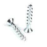 Stainless Steel Flat Head Torx Heavy Duty Concrete Anchor Bolt for and