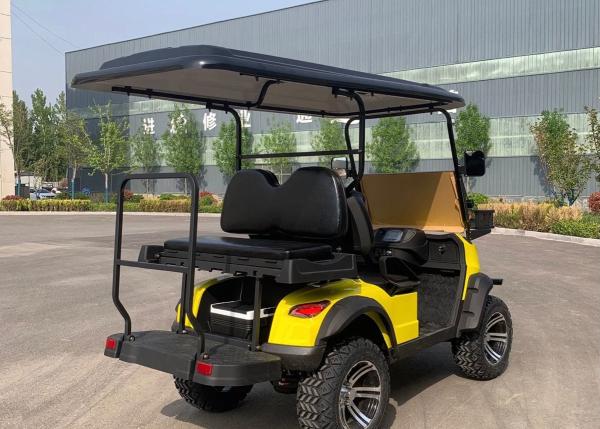 Mini Electric Vehicle 2 Seater Lifted Buggy Golf Carts Lead Acid Lithium Battery