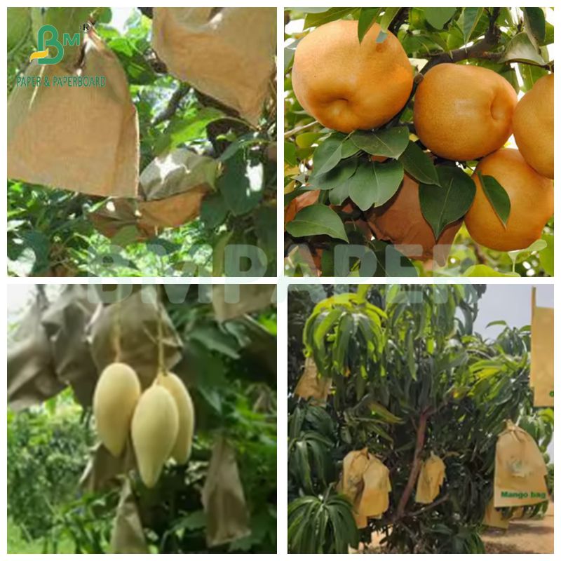 56g Yellow Black Fruit Growing Protection Bag Paper Roll Waterproof Sunproof