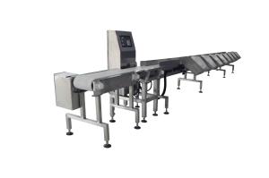 China Bucket System SUS304 Weight Grader Machine 3000g Fish Grader machine on sale